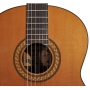 Salvador Cortez CC-60-BA gitara klasyczna basowa